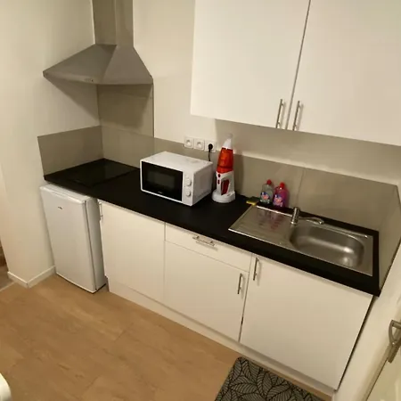 Apartment Studio E Lumineux Refait A Neuf